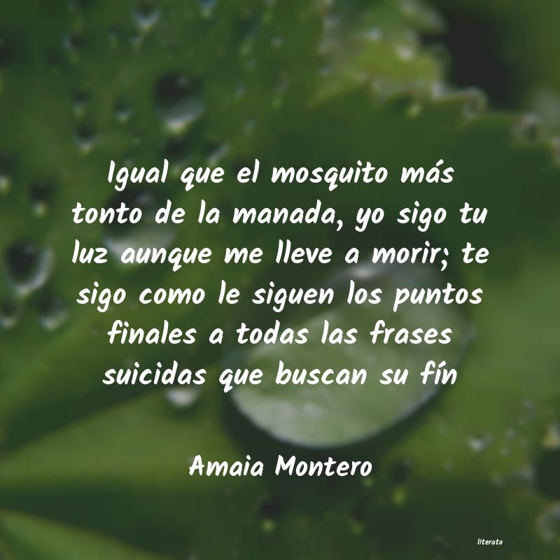 Frases de Amaia Montero