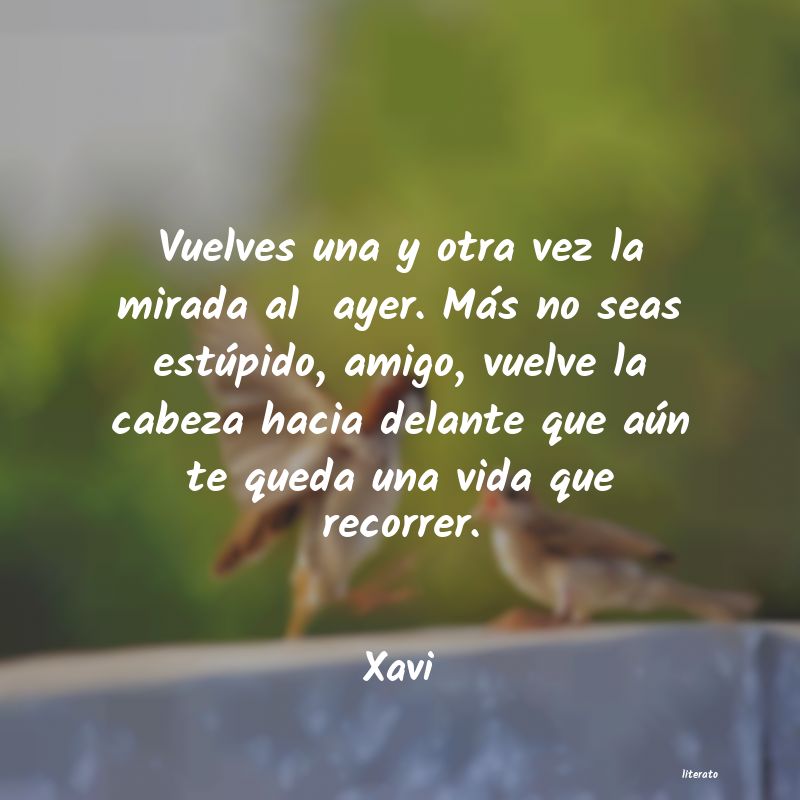frases de Xavi