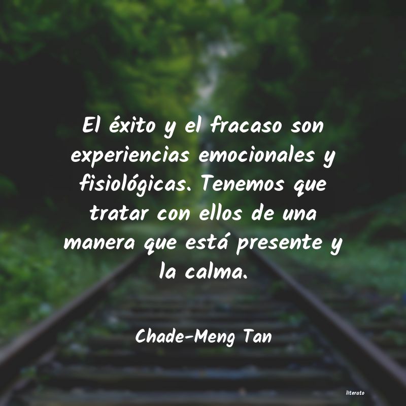 Frases de Chade-Meng Tan