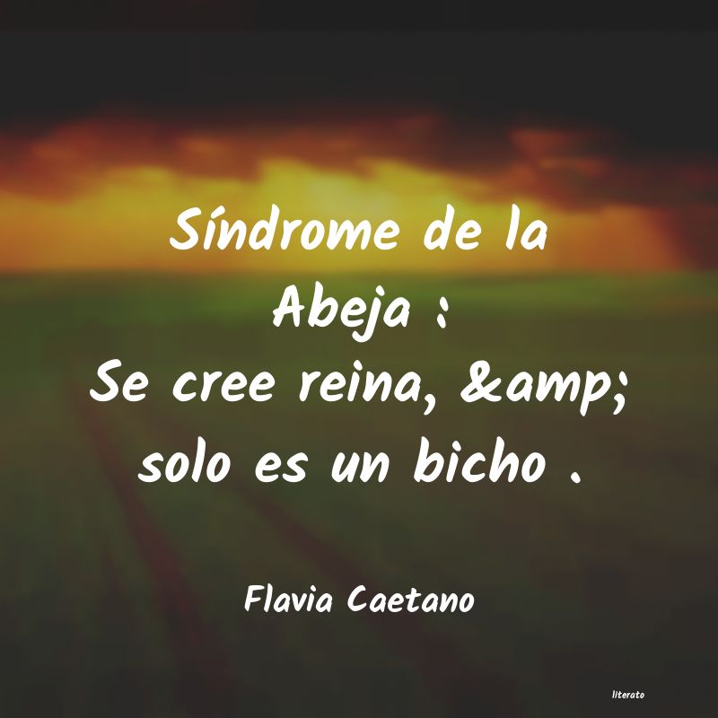 Frases de Flavia Caetano