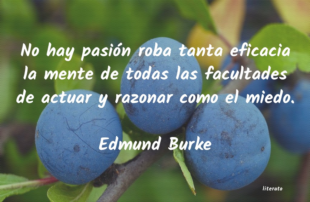 Frases de Edmund Burke