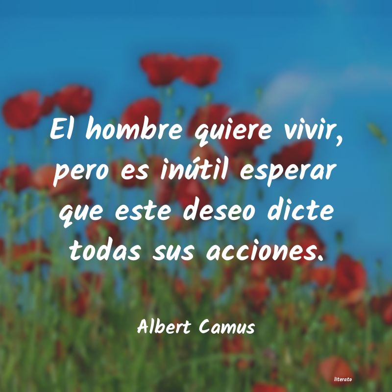 Frases de Albert Camus