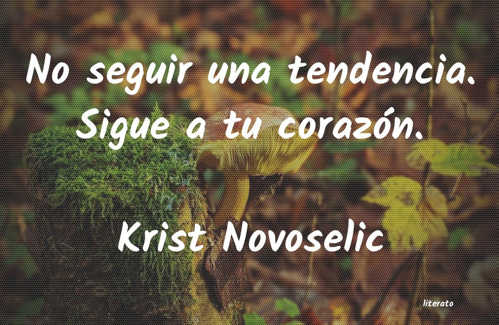 Frases de Krist Novoselic