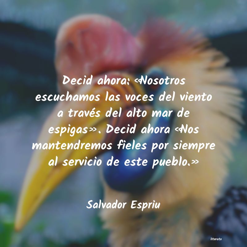 Frases de Salvador Espriu