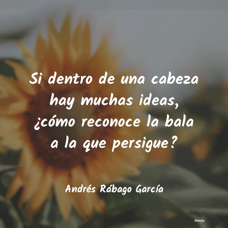 Frases de Andrés Rábago García