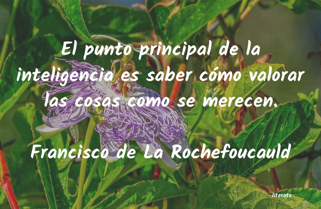 Frases de Francisco de La Rochefoucauld