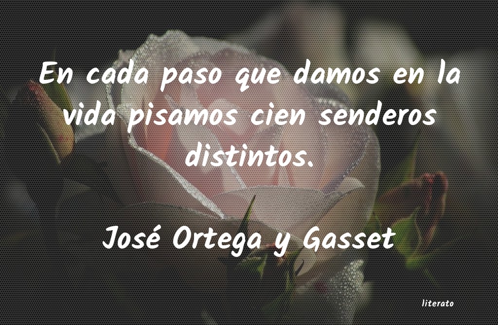 frases de José Ortega y Gasset