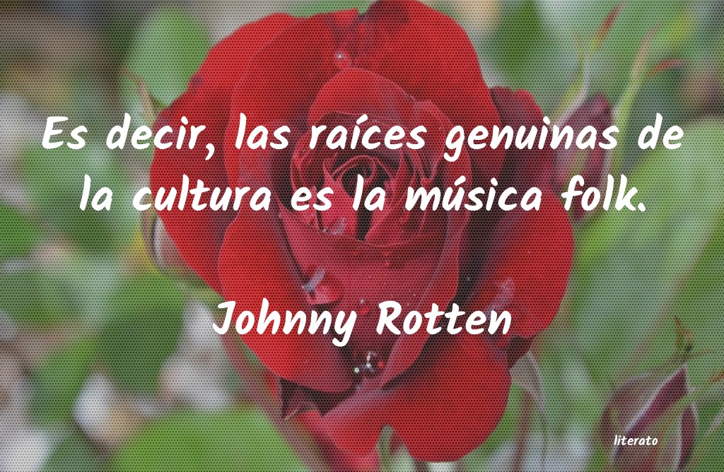 Frases de Johnny Rotten