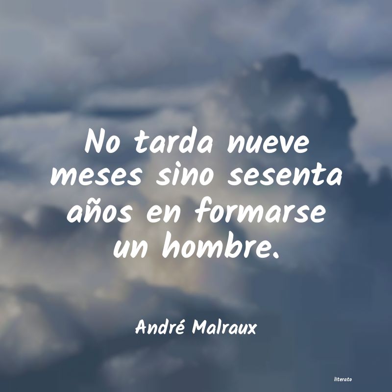 Frases de André Malraux