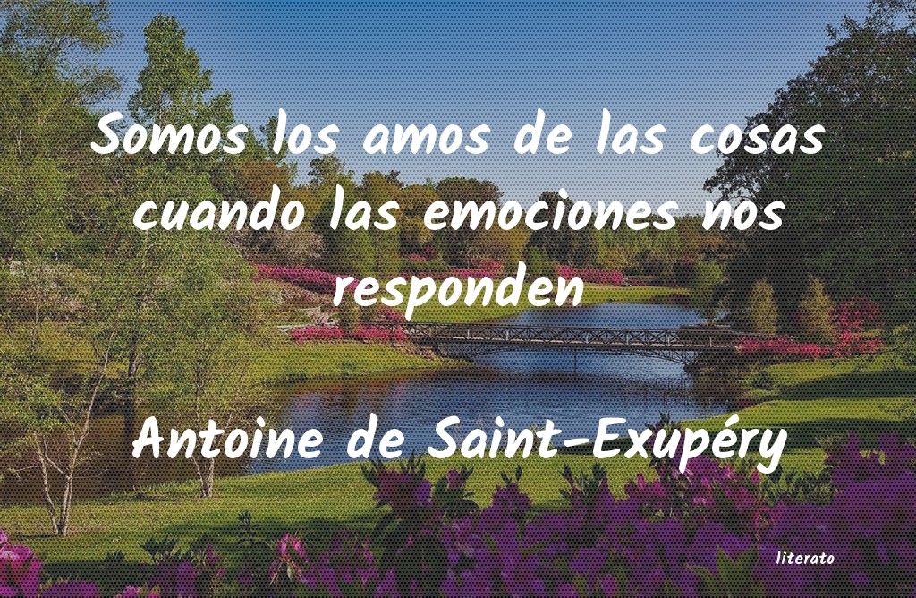 Frases de Antoine de Saint-Exupéry