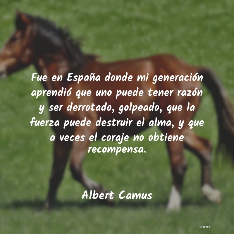 Frases de Albert Camus