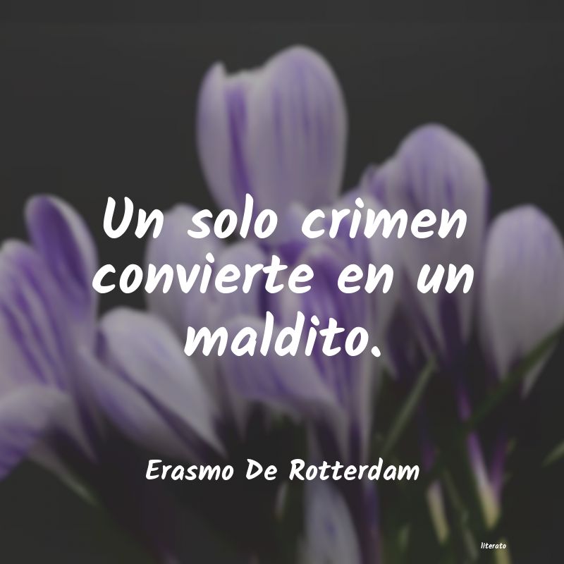 frases de Erasmo De Rotterdam