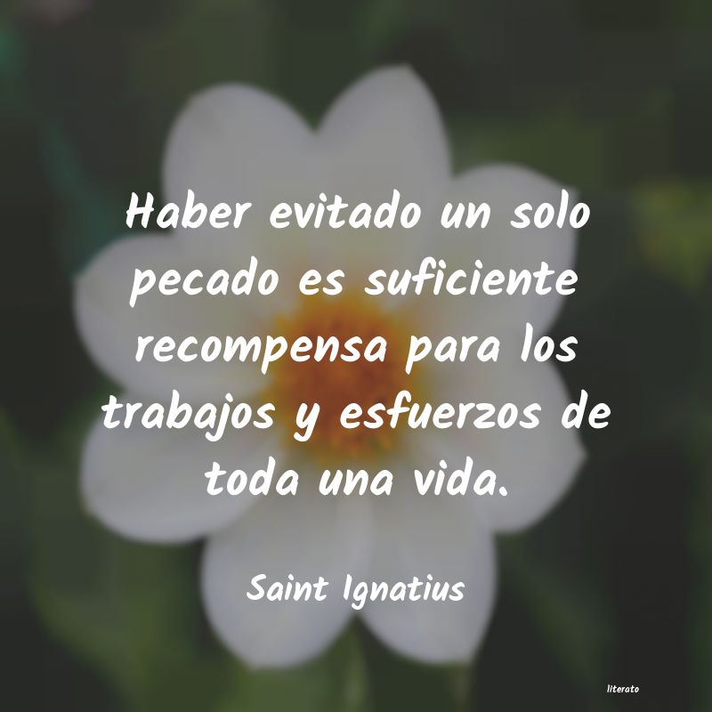 Frases de Saint Ignatius