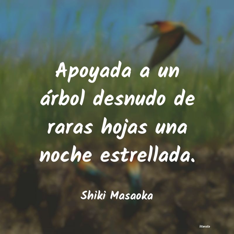 Frases de Shiki Masaoka