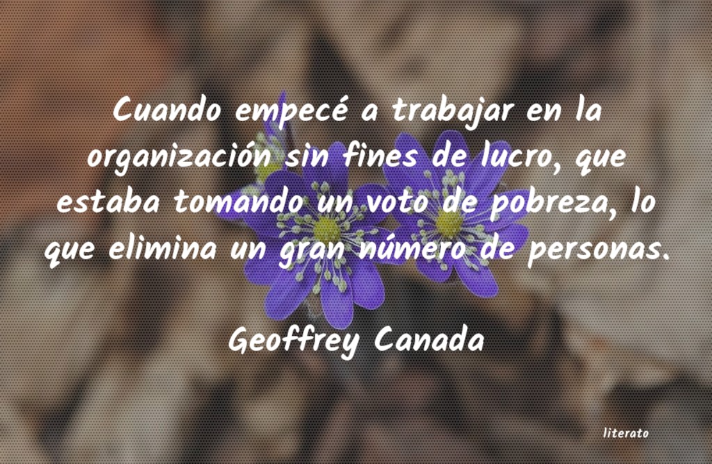 Frases de Geoffrey Canada