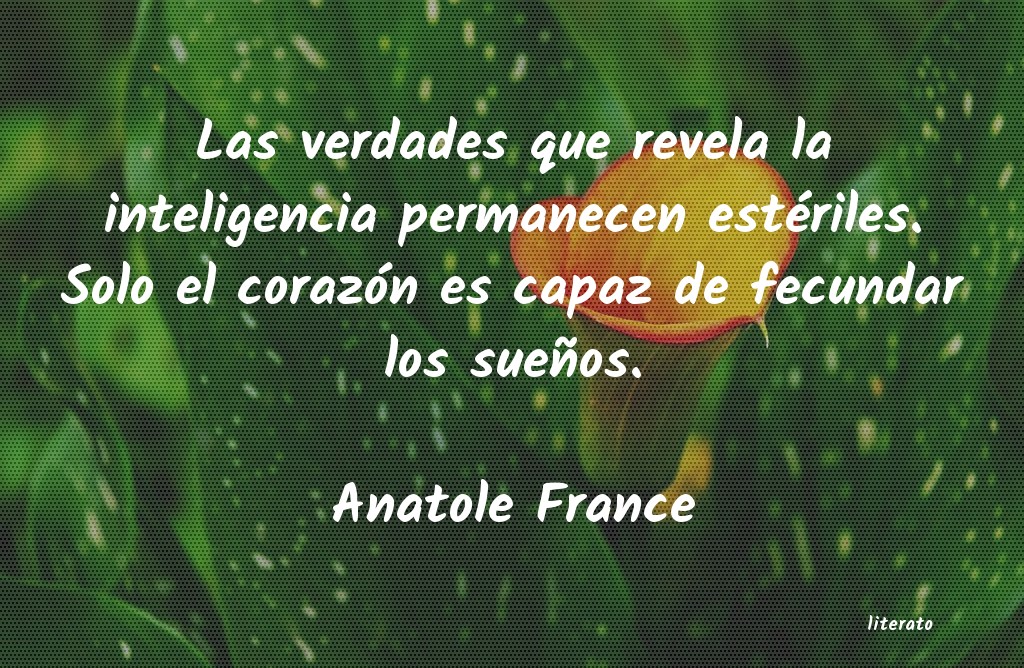 Frases de Anatole France