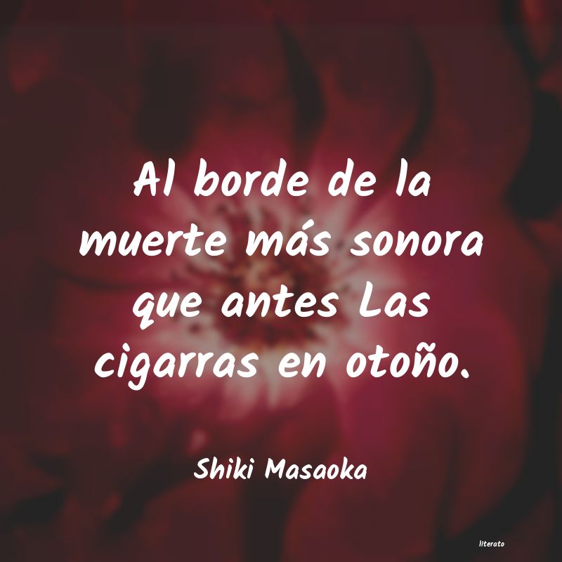 frases de Shiki Masaoka