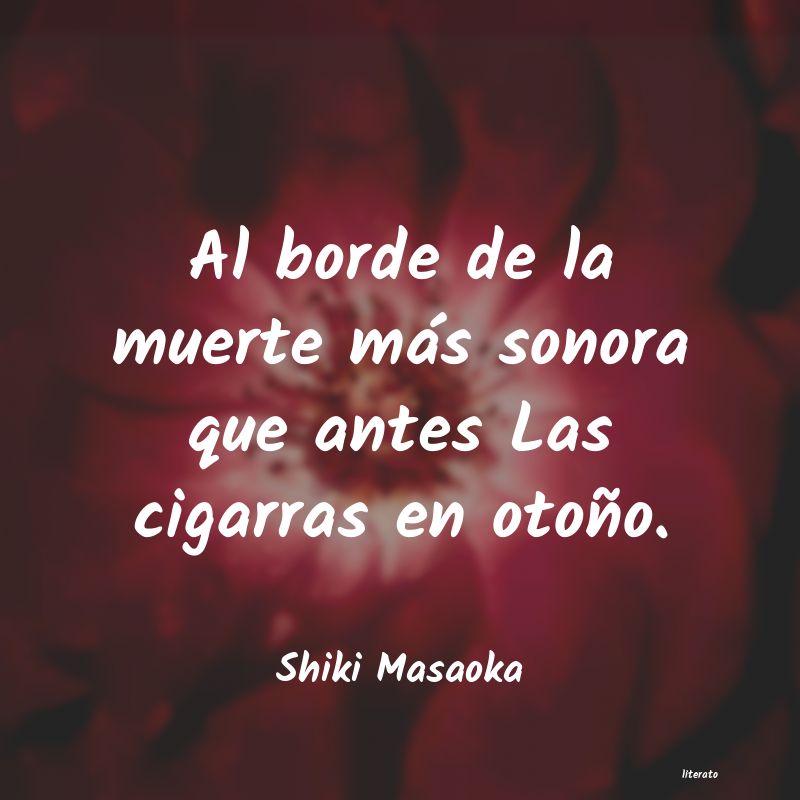 Frases de Shiki Masaoka