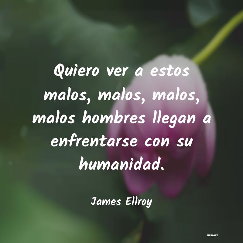 Frases de James Ellroy
