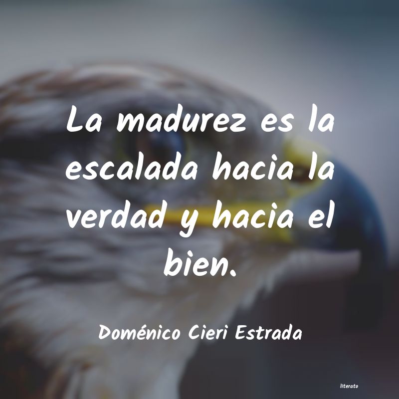 Frases de Doménico Cieri Estrada