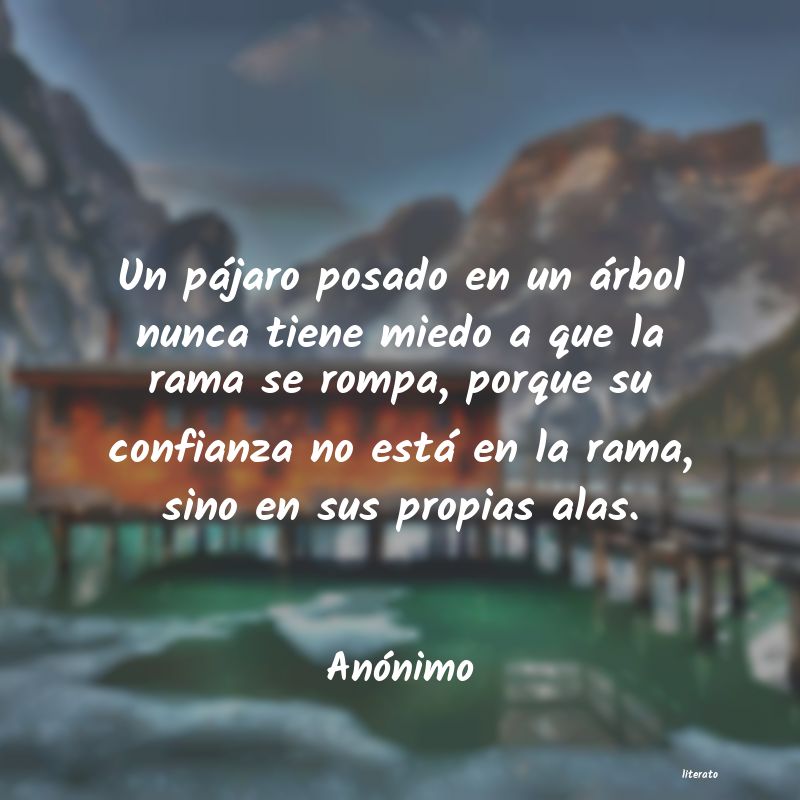 frases