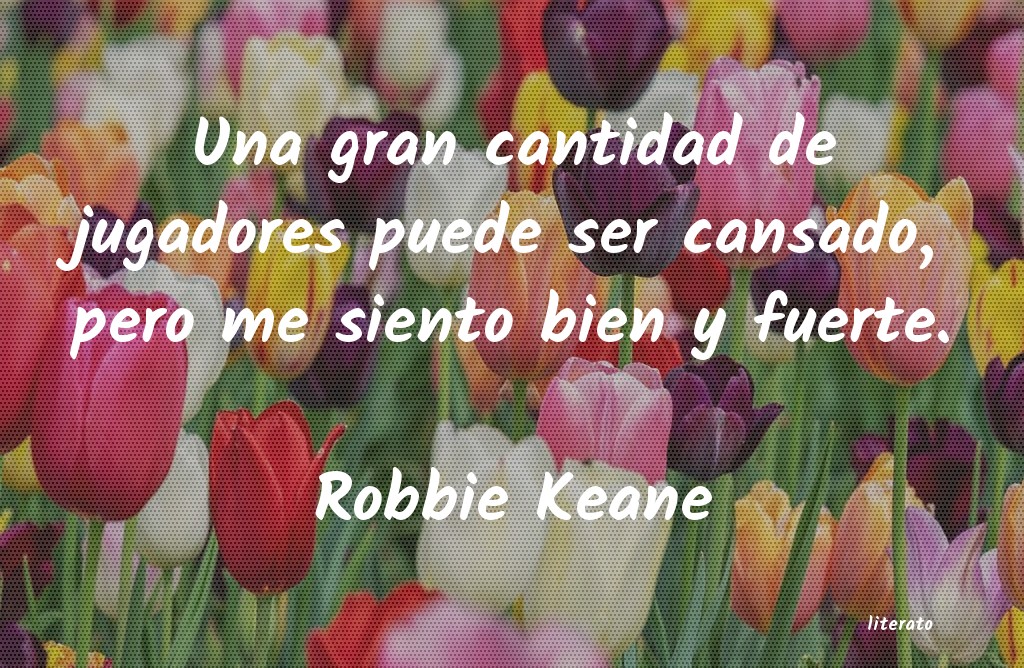 frases de Robbie Keane