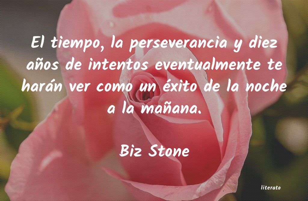 Frases de Biz Stone