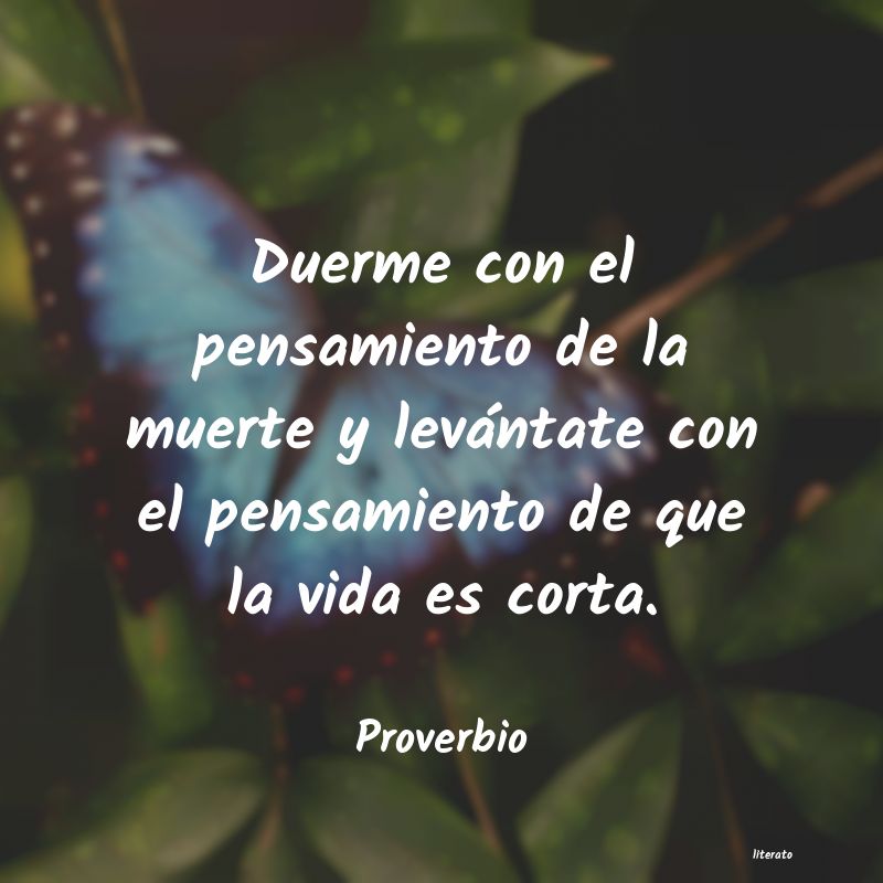 Frases de Proverbio