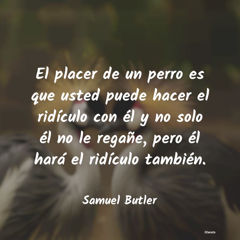 Frases de Samuel Butler