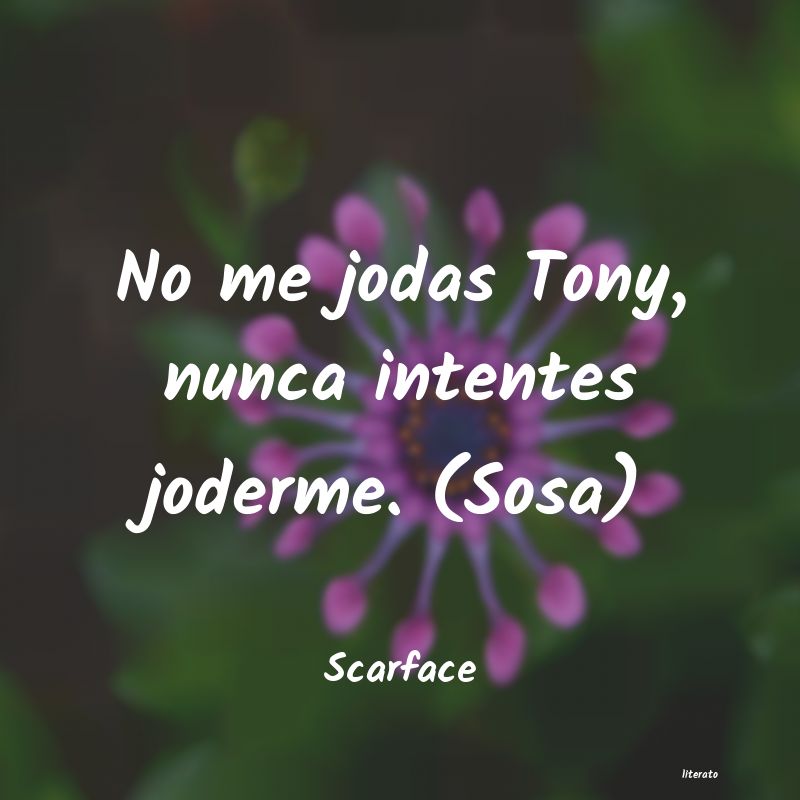 frases de Scarface