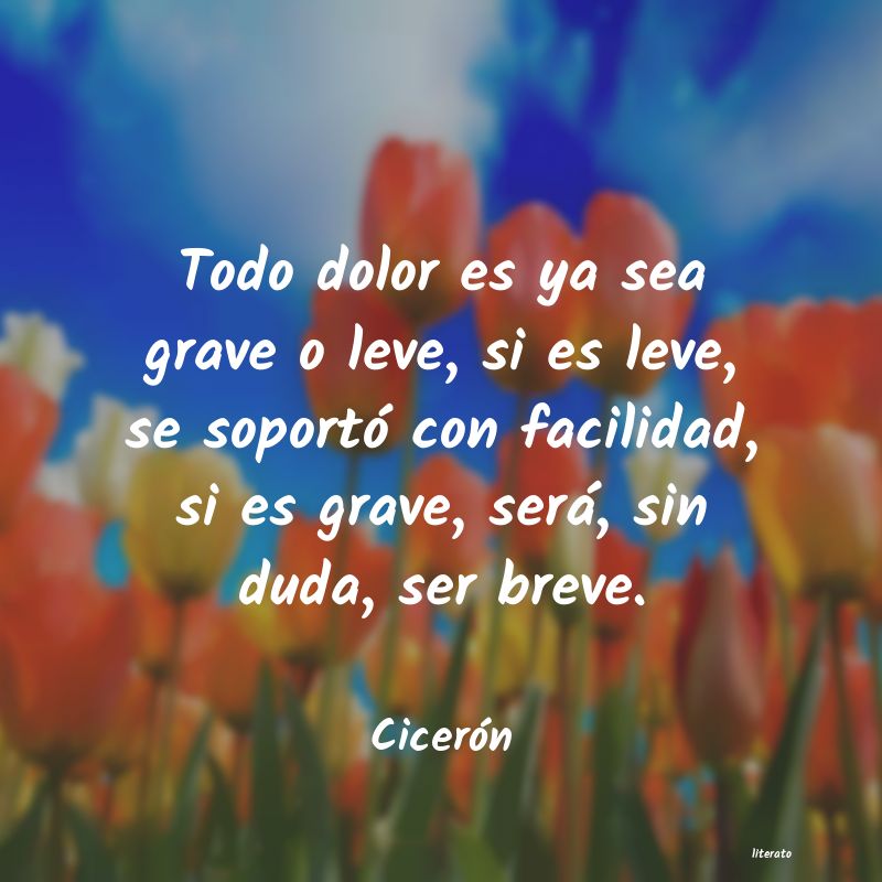 Frases de Cicerón