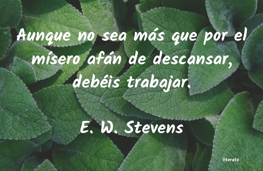 Frases de E. W. Stevens