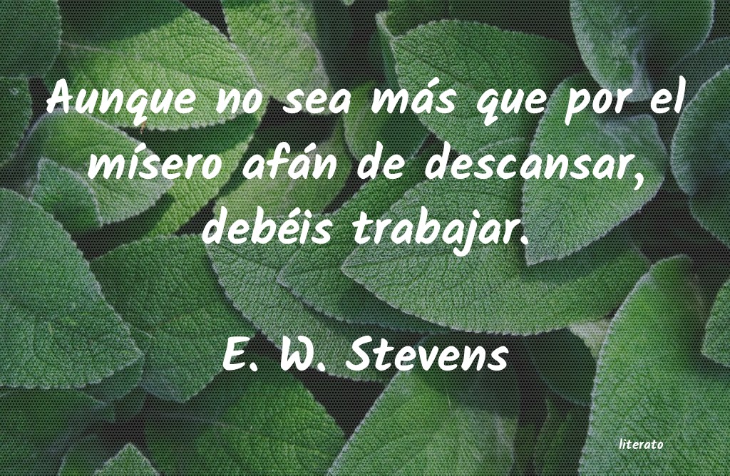 frases de E. W. Stevens