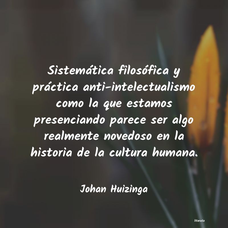 Frases de Johan Huizinga