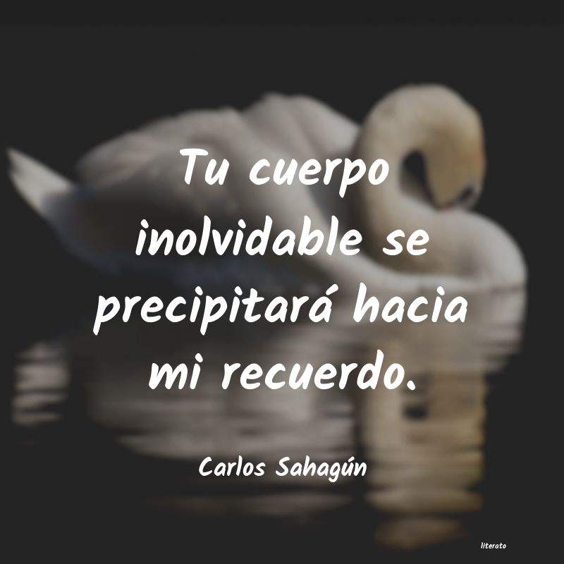 Frases de Carlos Sahagún