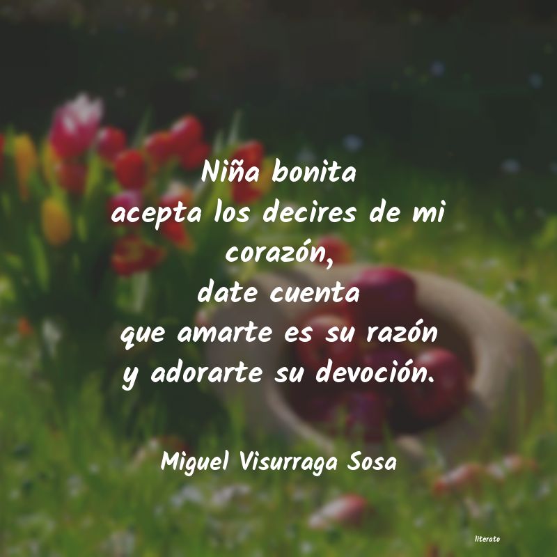 frases de Miguel Visurraga Sosa