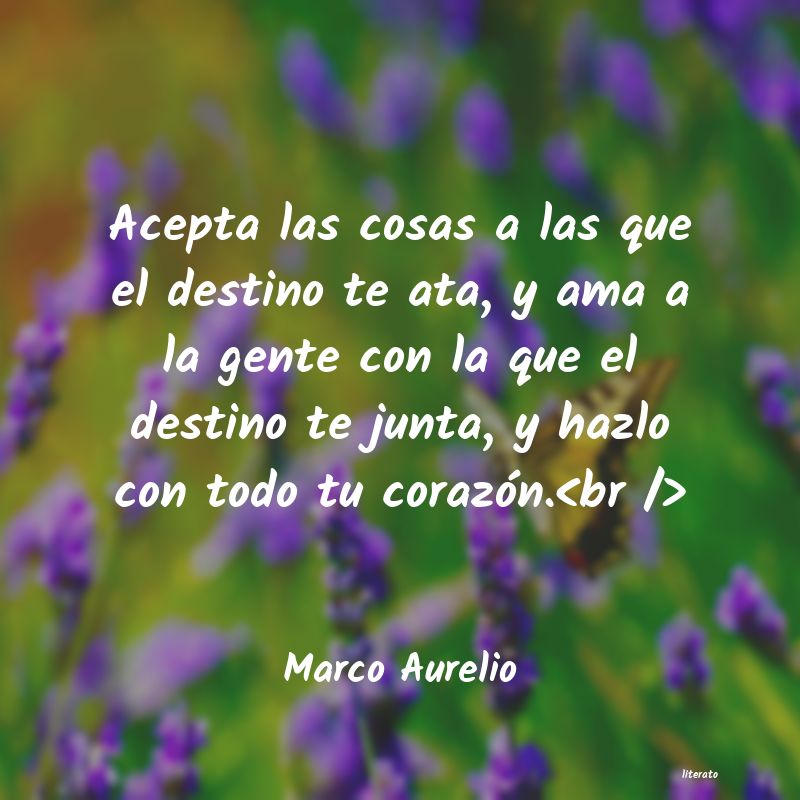 frases de Marco Aurelio