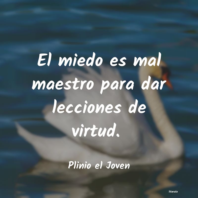 frases de Plinio el Joven