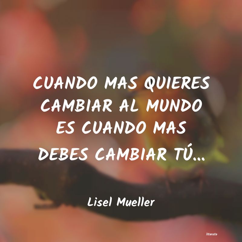 Frases de Lisel Mueller