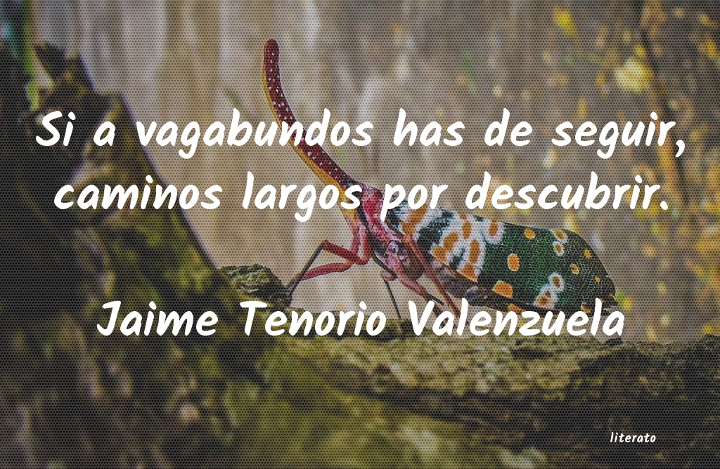 Frases de Jaime Tenorio Valenzuela