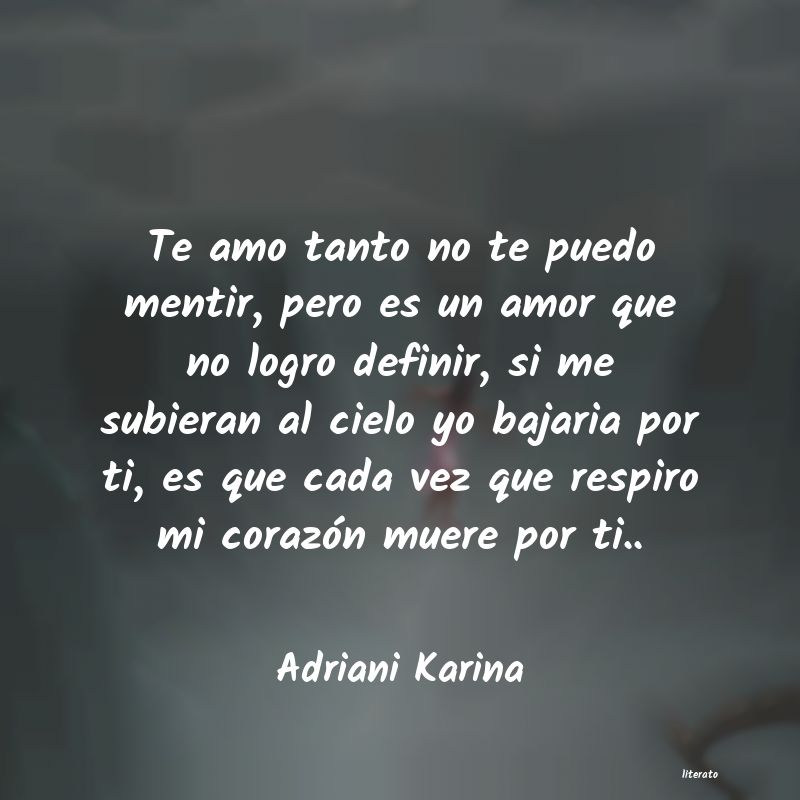 Frases de Adriani Karina