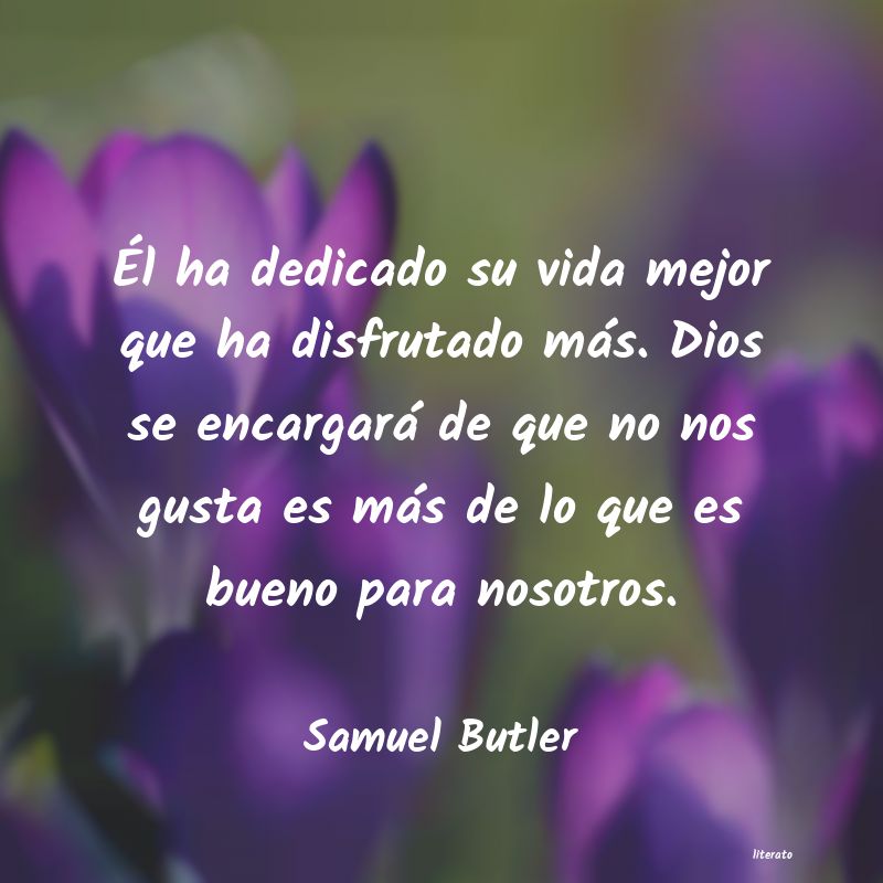 Frases de Samuel Butler