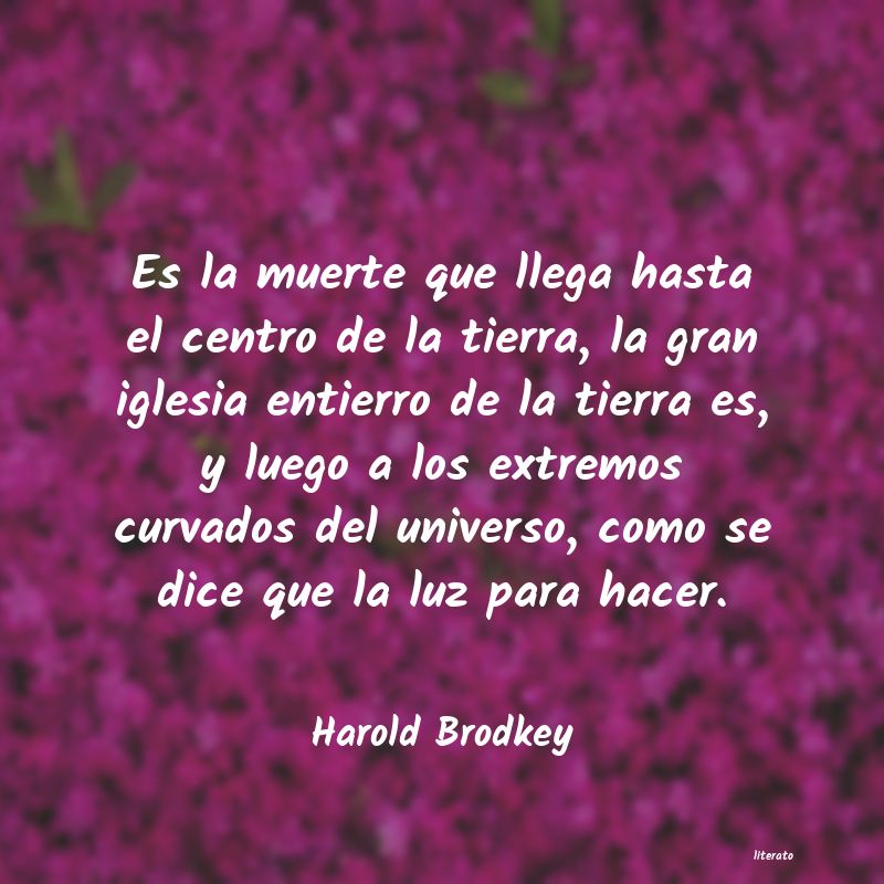 Frases de Harold Brodkey