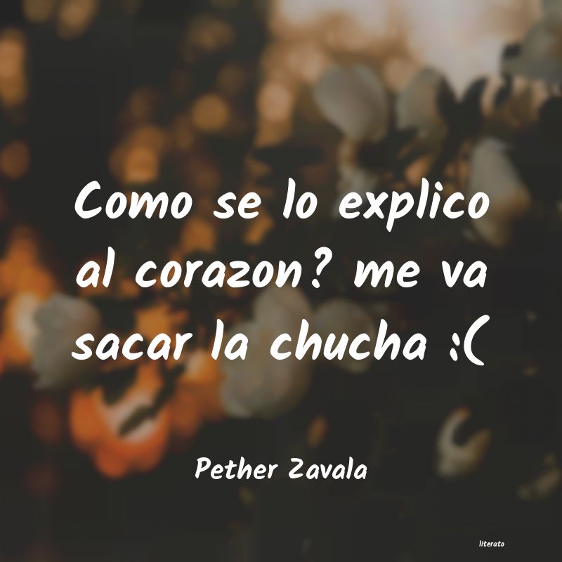 frases de Pether Zavala