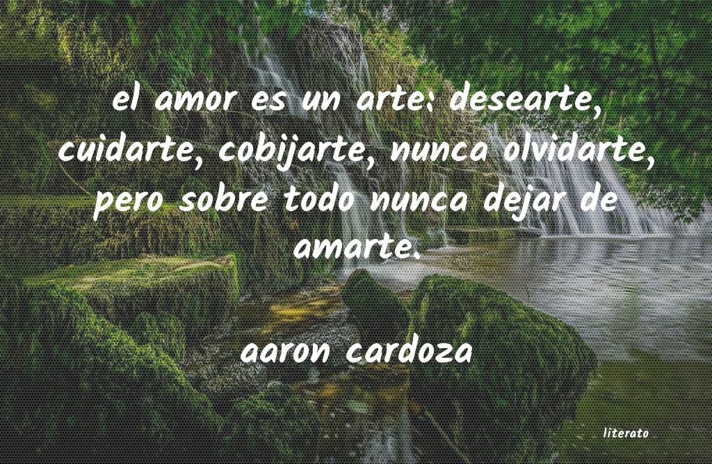 Frases de aaron cardoza