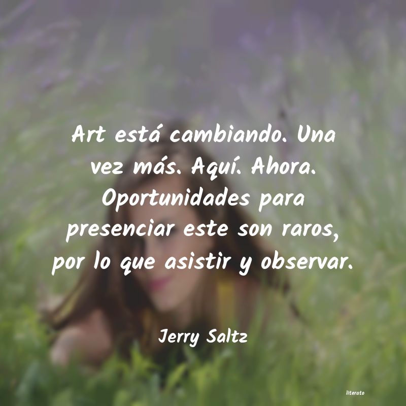 Frases de Jerry Saltz