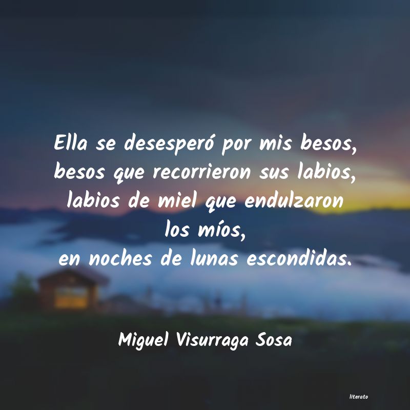 Frases de Miguel Visurraga Sosa