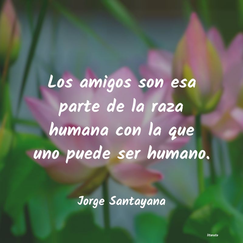 Frases de Jorge Santayana