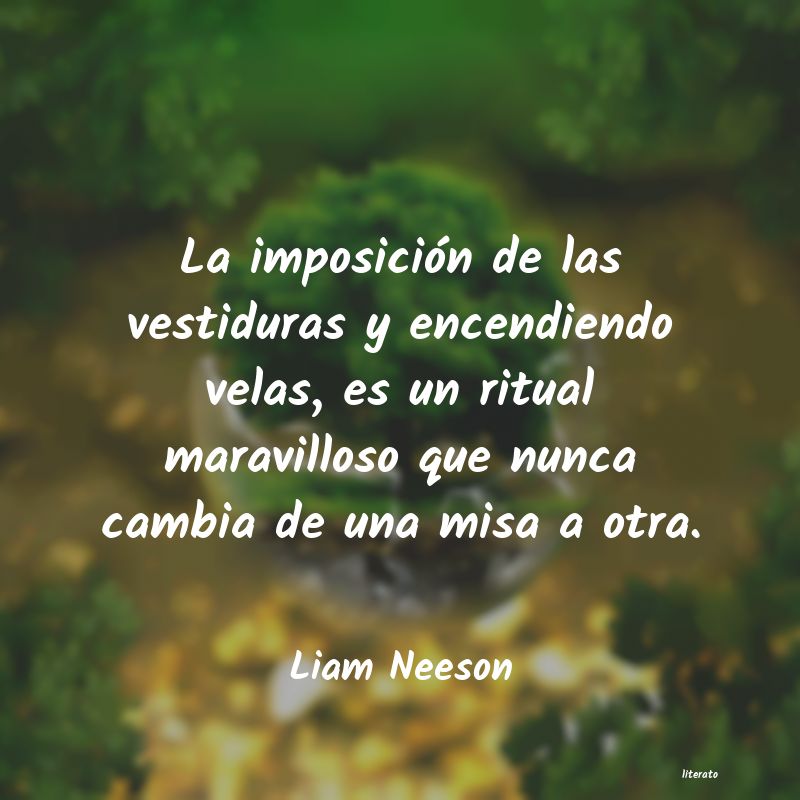 Frases de Liam Neeson