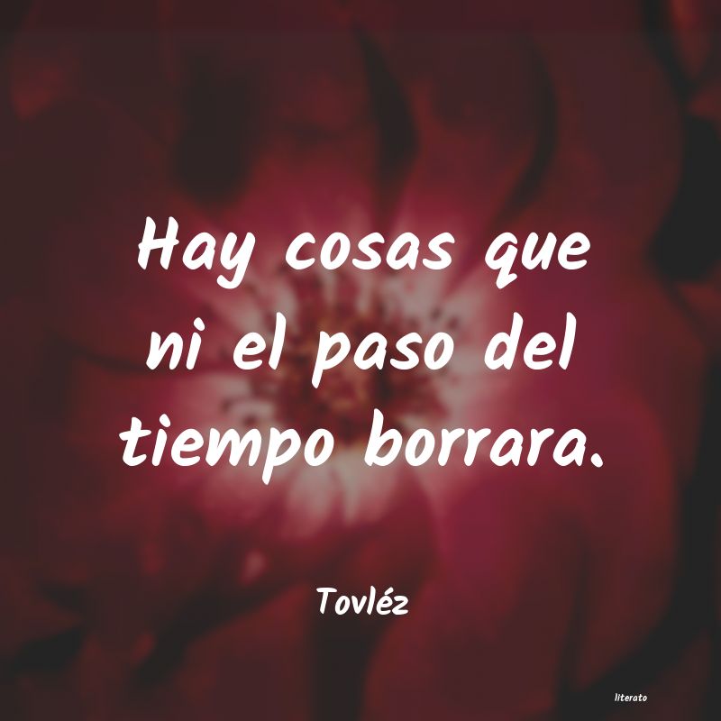 frases de TovlÃ©z